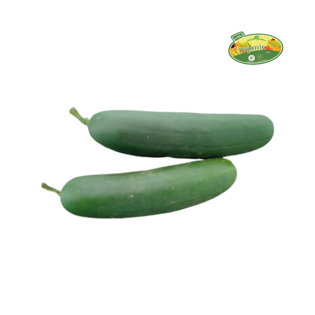 S&R Organic Cucumber approx 500g